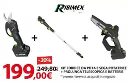 Kreo Brico e Casa Ribimex kit forbice da pota e sega potatrice + prolunga telescopica e batterie offerta