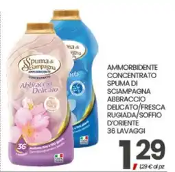 Eurospar AMMORBIDENTE CONCENTRATO SPUMA DI SCIAMPAGNA offerta