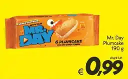 Iper Super Conveniente Mr. Day Plumcake offerta
