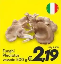 Iper Super Conveniente Funghi Pleurotus offerta