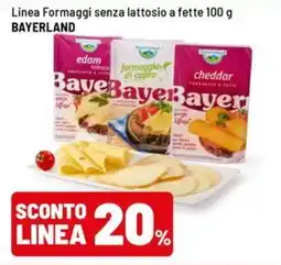 Iper La Grande Formaggi senza lattosio Bayerland offerta