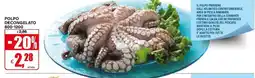 Il Gigante Polpo decongelato offerta