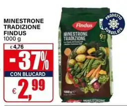 Il Gigante Minestrone tradizione Findus offerta