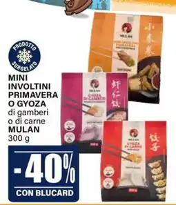 Il Gigante Mini involtini primavera o gyoza Mulan offerta