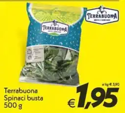 Iper Super Conveniente Terrabuona Spinaci busta offerta