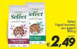 Iper Super Conveniente Select Fagioli Borlotti offerta