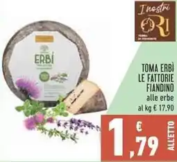 Conad City Toma Erbì offerta