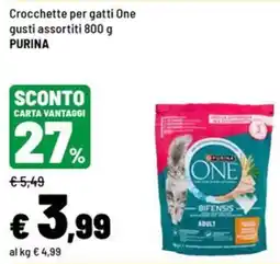 Iper La Grande Crocchette per gatti One offerta