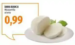 Emi Supermercati Dama Bianca Mozzarella offerta