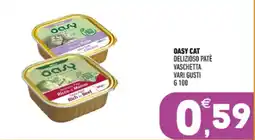Ayoka Oasy cat delizioso patè offerta