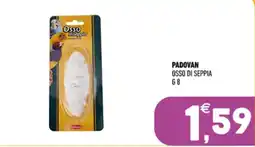 Ayoka Padovan osso di seppia offerta