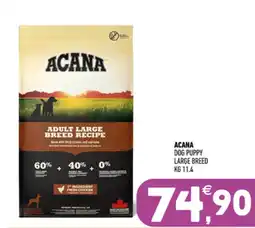 Ayoka Acana dog puppy large breed offerta