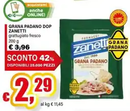 Il Gigante Grana Padano DOP Zanetti offerta