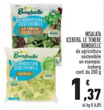 Insalata iceberg, le tenere bonduelle