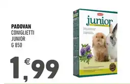 Ayoka Padovan coniglietti junior offerta