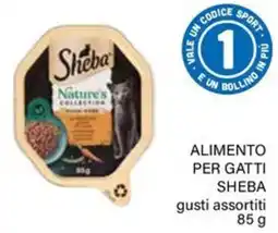 Il Gigante Alimento per gatti Sheba gusti assortiti offerta