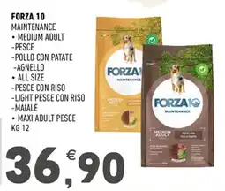 Ayoka Forza 10 Maintenance offerta