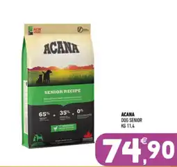 Ayoka Acana dog senior offerta