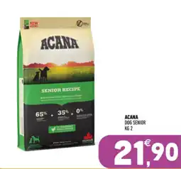 Ayoka Acana dog senior offerta
