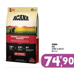 Ayoka Acana dog sport & agility offerta