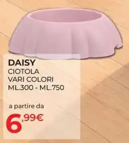 Arcaplanet Daisy ciotola offerta