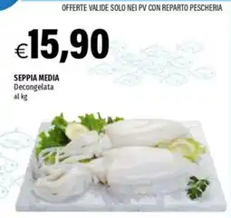 Hurrà Seppia media offerta