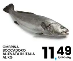 Interspar Ombrina boccadoro offerta