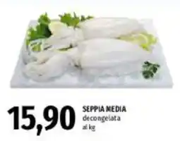 Emi Supermercati Seppia media offerta