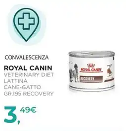 Arcaplanet Royal Canin Veterinary Diet Recovery offerta