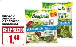 Il Gigante Insalata armonia Bonduelle offerta