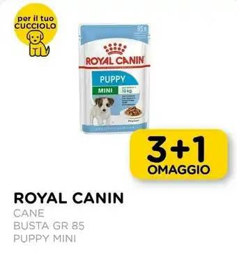 Arcaplanet Cane puppy mini offerta
