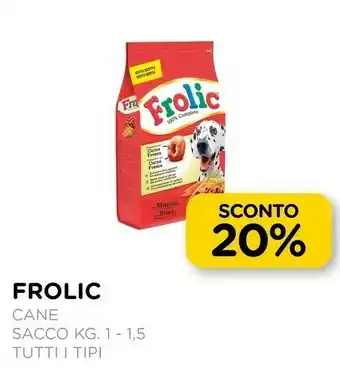Arcaplanet Frolic cane sacco offerta
