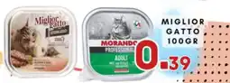 Ferdico Miglior gatto offerta