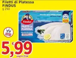 Market Ingross Filetti di Platessa Findus offerta