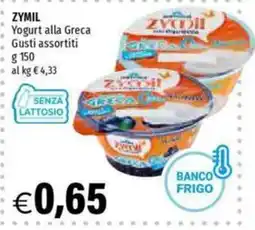 Hurrà Yogurt alla Greca Zymil offerta