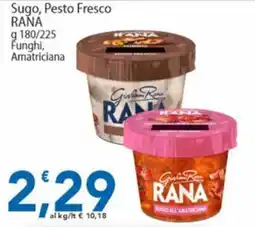 Sidis Sugo, Pesto Fresco RANA offerta