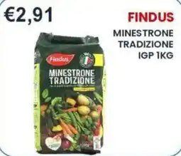 Caramico Findus Minestrone Tradizione offerta