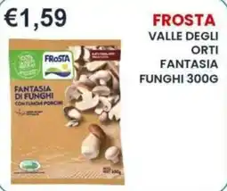 Caramico Frosta Fantasia di funghi con funghi porcini offerta