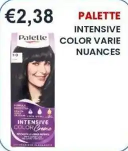 Caramico Palette Intensive Color Creme offerta