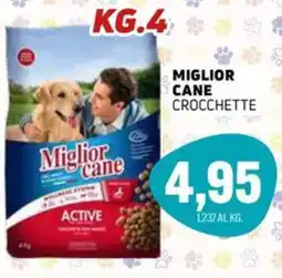 Emporio Amato Miglior cane crocchette active offerta