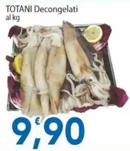 Sidis Totani decongelati offerta
