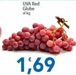 Sidis UVA Red Globe offerta