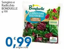 Sidis Songino e Radicchio Bonduelle offerta