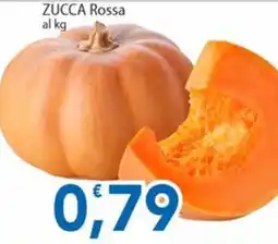 Sidis Zucca Rossa offerta