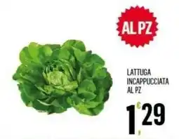 Vibian Lattuga incappucciata offerta