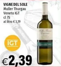 Hurrà Vigne del Sole Muller Thurgau offerta
