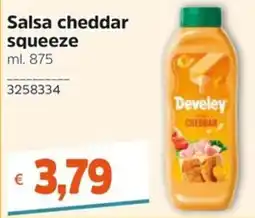 Stop&Shop Salsa cheddar squeeze Develey offerta