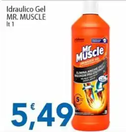 Sidis Idraulico Gel Mr. Muscle offerta
