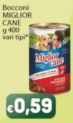 Sidis Bocconi Miglior Cane offerta