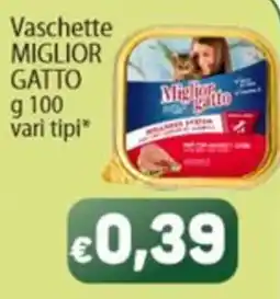 Sidis Vaschette Miglior Gatto offerta